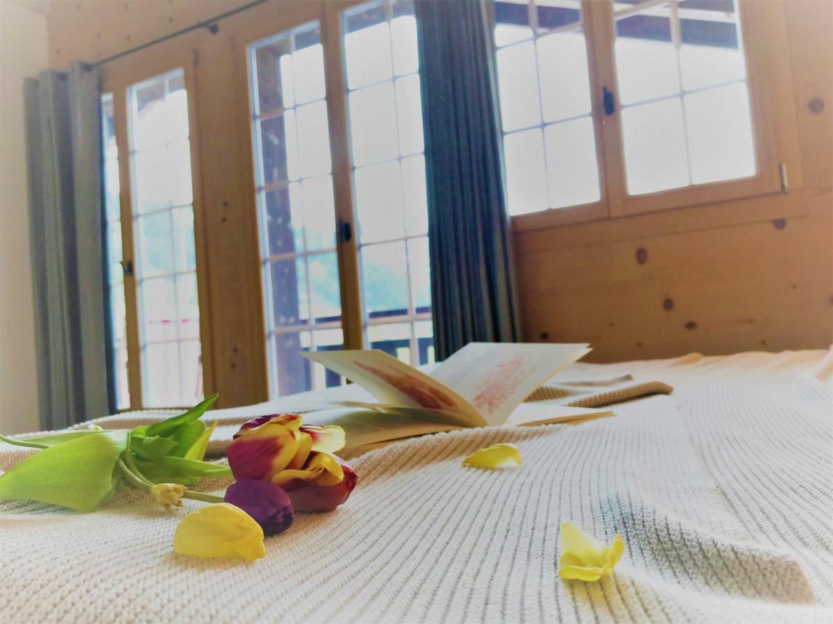 Chalet Elk Lenk Dış mekan fotoğraf