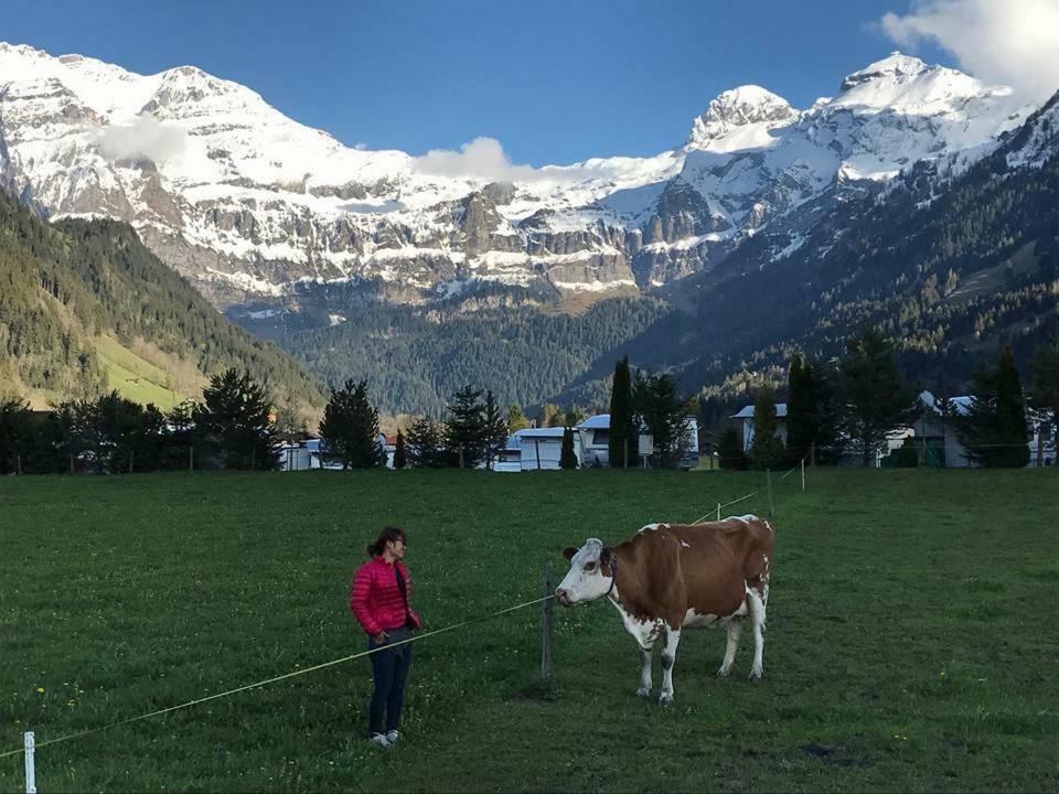 Chalet Elk Lenk Dış mekan fotoğraf